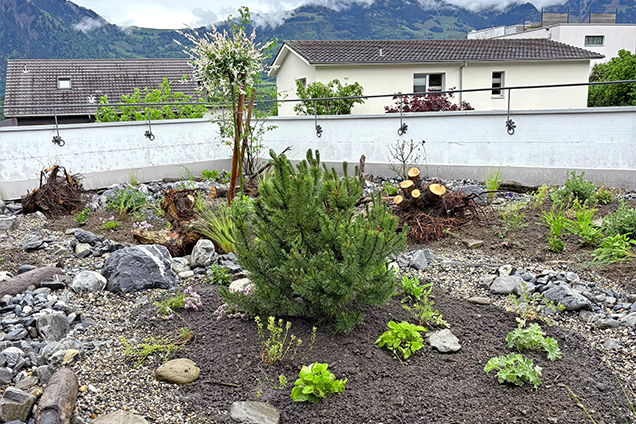 Rohrer Gartenumgestaltung